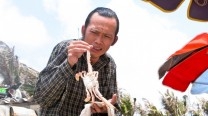 Kính Thưa Osin